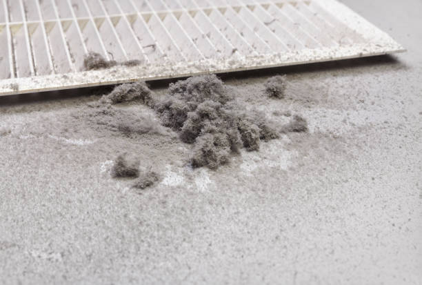 Best Dryer Vent Cleaning Services  in North Fork, CA