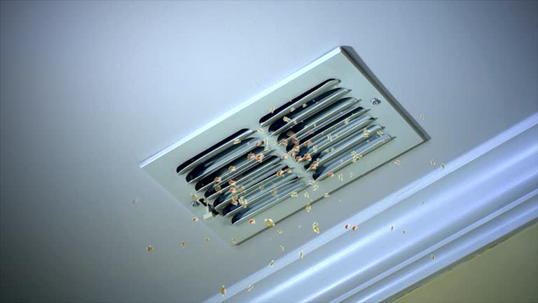 Best Professional Duct Cleaning Services  in North Fork, CA